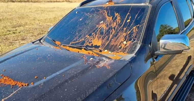 Juiz que mandou prender Milton Ribeiro tem carro atacado com fezes